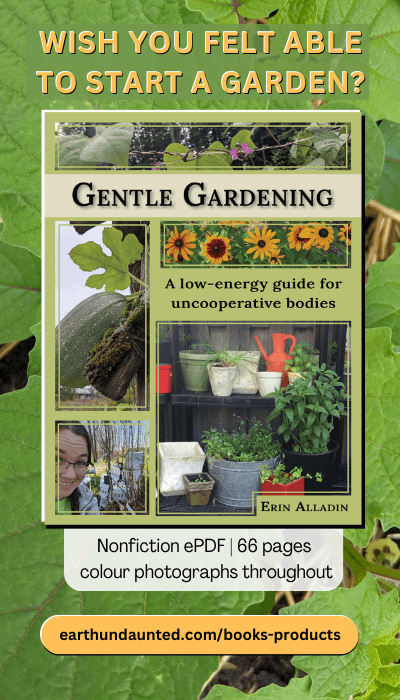 A graphic advertising the book Gentle Gardening: A low-energy guide for uncooperative bodies. The header asks, "Wish you felt able to start a garden?" Below the cover image are the specs "Nonfiction ePDF | 66 pages | colour photographs throughout." A purchase link reads, "earthundaunted.com/books-products".